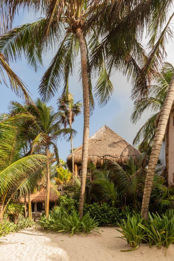 Encantada Tulum Exteriör bild